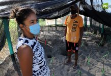 R5: grano de arena perdido en un rincón del golfo Campamento tortuguero R5 (Foto: Jorge Huerta E.)