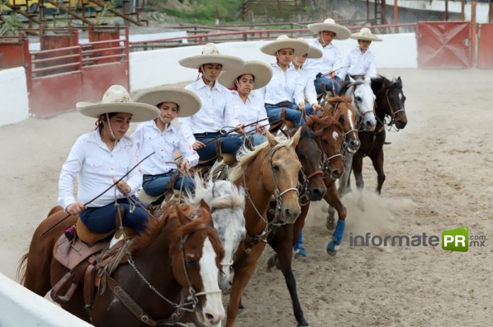 Alondras nuevamente ganan campeonato (Foto: Jorge Huerta E.)