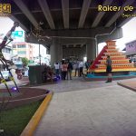 raices_vida_02
