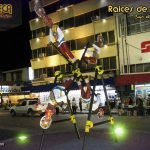 raices_vida_07