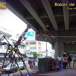 raices_vida_10