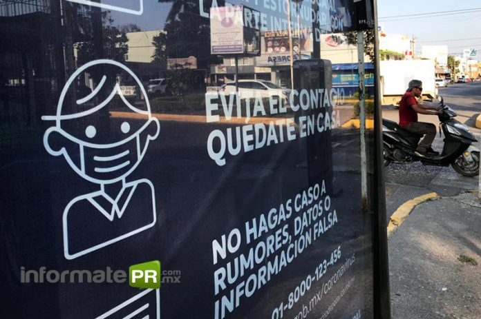 Repunte (Foto: Jorge Huerta E.)