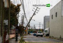 Restablecen el servicio de energía eléctrica en algunas colonias de Poza Rica Poco a poco, la CFE va restableciendo la energía eléctrica luego del paso del huracán Grace (Foto: Jorge Huerta E.)