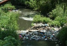 Adquirirán terreno para planta tratadora de aguas; multarían con 60 mdp al ayuntamiento de Poza Rica Arroyos contaminados continúan a consecuencia de que no se ha podido construir la planta tratadora de aguas residuales proyectada desde el año 2007 (Foto: Especial)