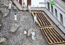 Esplendor y decadencia de los «tesoros negros» en Veracruz Imagen recreada del secado de vainilla, en una de las calles de Papantla. Fragmento del mural del restaurante Nakú de Papantla (Foto: Jorge Huerta E.)