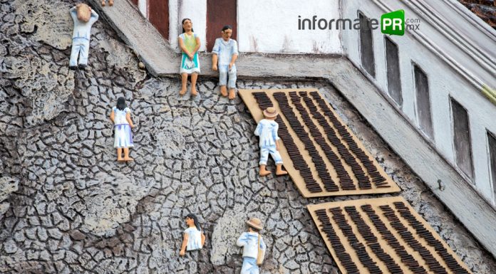 Imagen recreada del secado de vainilla, en una de las calles de Papantla. Fragmento del mural del restaurante Nakú de Papantla elaborado por el artista Rubén Solís Rincón (Foto: Jorge Huerta E.)