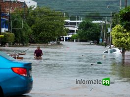 Se inundan colonias bajas de Poza Rica; rebasó el registro de 1999 Se inundan colonias bajas de Poza Rica; millones de pérdidas materiales (Foto: Jorge Huerta E.)