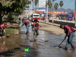 CAEV limpia la avenida Puebla (Foto: Jorge Huerta E.)