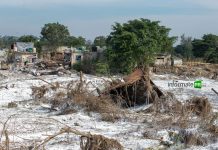 Devastada y en el abandono las Granjas parte alta; de los pocos sectores de Poza Rica sin energía eléctrica Impresionante devastación en la parte alta de las Granjas; se quejan de falta de ayuda (Foto: Jorge Huerta E.)