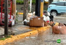 Basura incrementa anegación en calles de Poza Rica; servicio de recolección sigue suspendido Basura inunda la ciudad de Poza Rica (Foto_ Jorge Huerta E.)