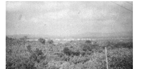 Paisaje y refinería petrolera de Poza Rica Colección Casasola, Serie Estados de la República. Veracruz 1972/1973 Fototeca Nacional. Coordinación Nacional de Difusión © Secretaría de Cultura. Instituto Nacional de Antropología e Historia. CC BY-NC-ND 4.0 https://repositorio.inah.gob.mx/o-844118