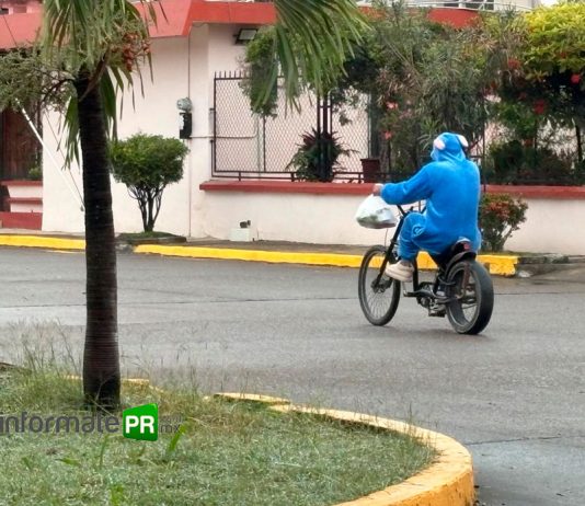 Antídoto (Foto: Jorge Huerta E.)