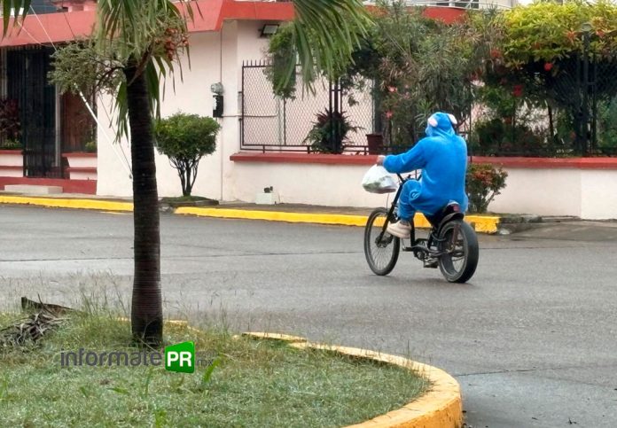 Antídoto (Foto: Jorge Huerta E.)