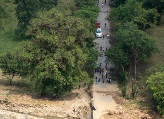 Al menos 16 puentes serán reconstruidos en la huasteca veracruzana (Foto: Jorge Huerta E.)