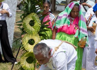Nos enterraron entre el lodo y chapopote: totonacos de Poza Rica; piden perdón un siglo después en pozo petrolero Totonacos del Kantiyán, en Papantla y Poza Rica celebraron una ceremonia de permiso, perdón y agradecimiento (Fotos: Jorge Huerta E.)